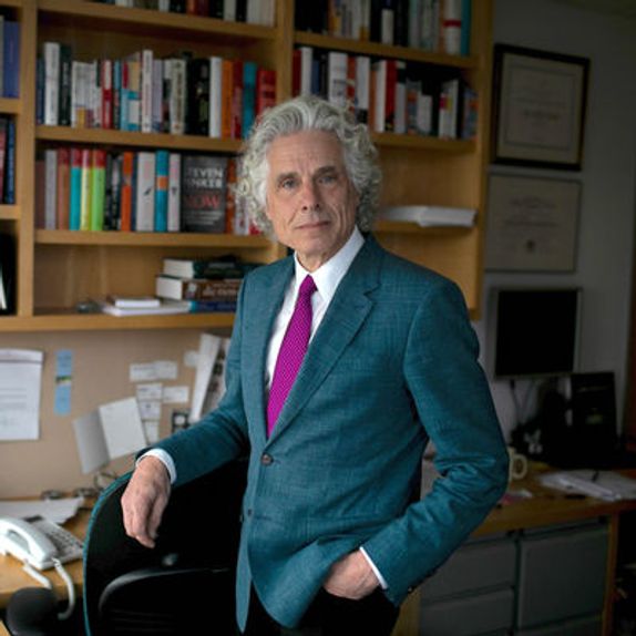 Best-Selling Author & Professor Steven Pinker Will Transform His Ideas into NFTs