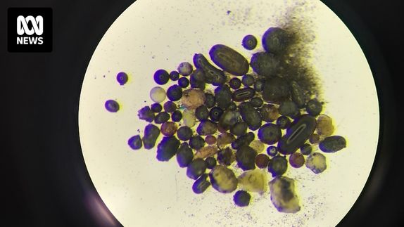 Water on the Moon stored in glass beads, Chang'e-5 samples reveal