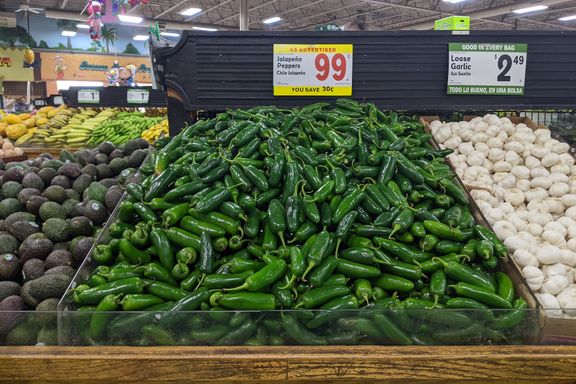 Why jalapeño peppers are less spicy (2023)