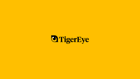 TigerEye (YC S22) Is Hiring a Full Stack Engineer