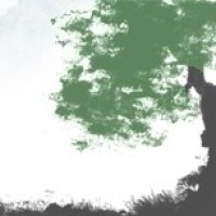 A proof of concept tool to verify estimates
