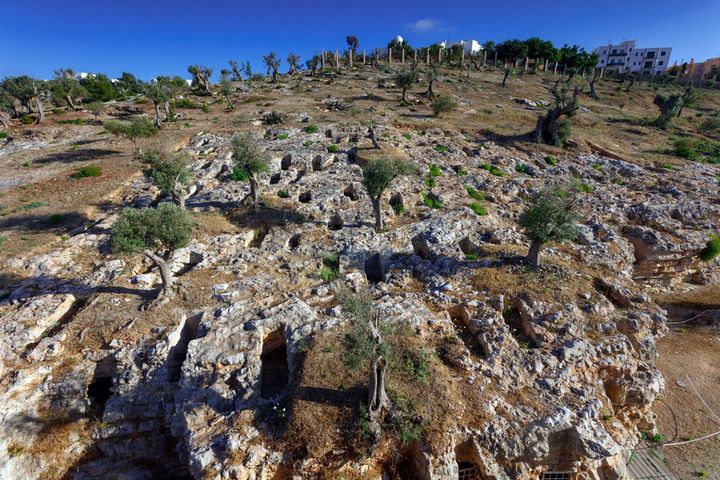 Phoenician culture spread mainly through cultural exchange