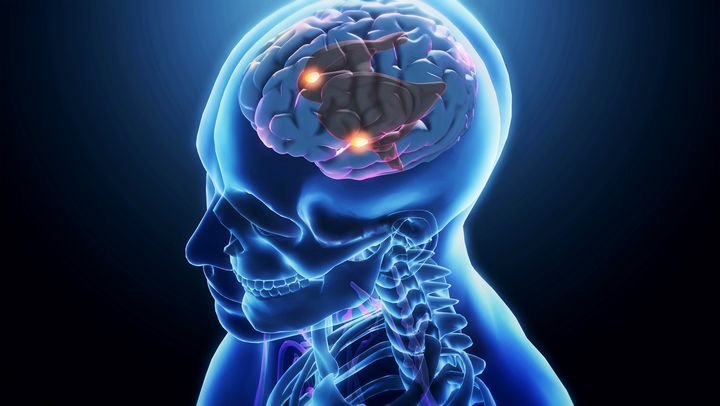 Science of 'Mental Time Travel' May Help Unlock the Human Mind