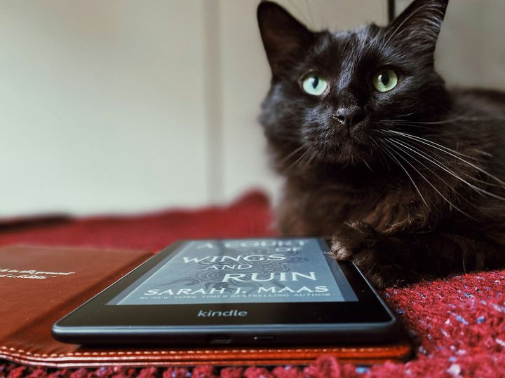 How I bypassed Amazon's Kindle web DRM