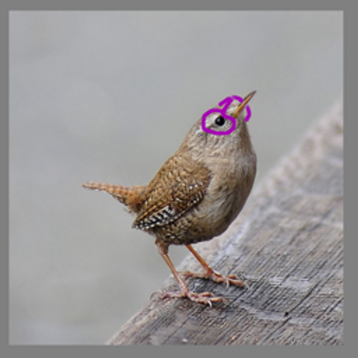 Zig and the design choices within