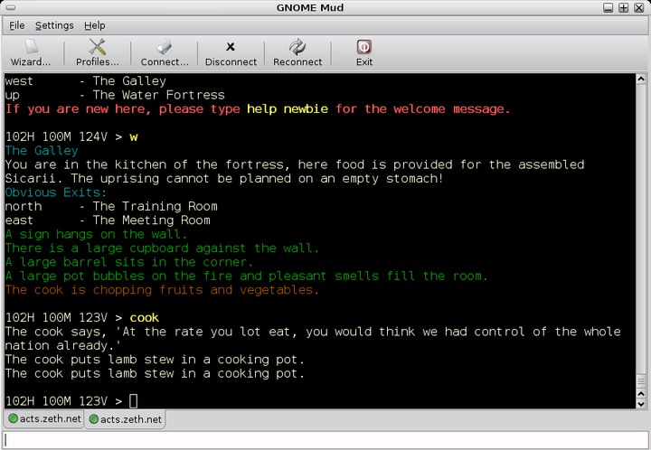 Multi-User Dungeon (MUD)