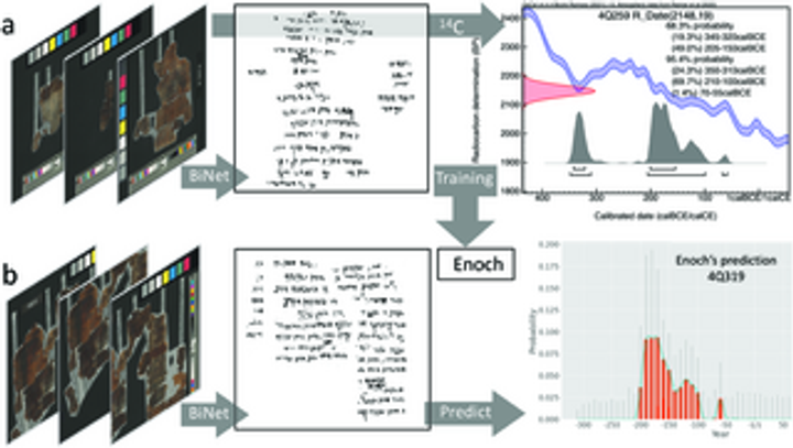 Enoch, a date-prediction AI-model, trained on C14-dated scroll samples