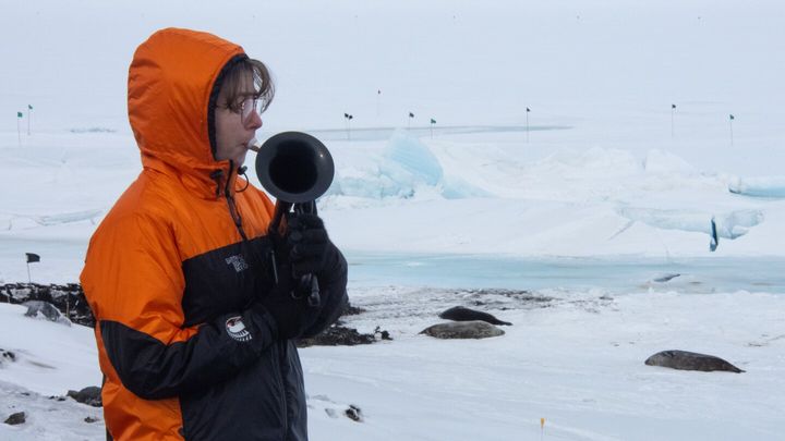 On the world’s coldest stage, a military musician plays with a plastic horn