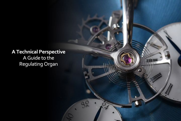 A Complete Guide to the Regulating Organ