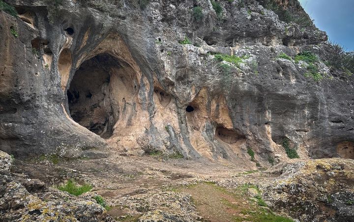 The Other Homo Sapiens