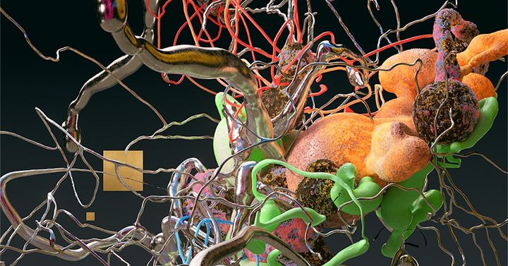 The Ascendance of Algorithmic Tyranny