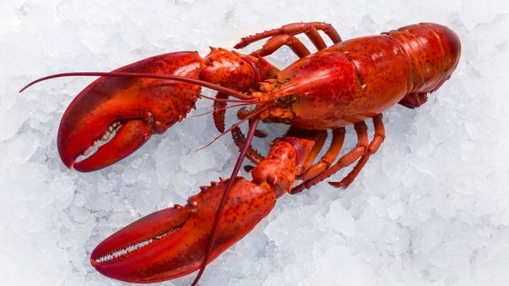 $400k worth of lobster stolen en route to Costco wholesale stores in US