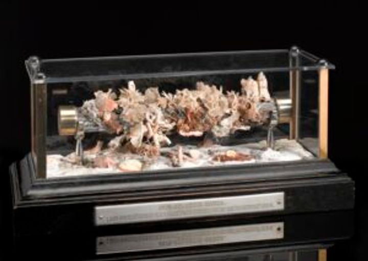 The Legacy of Undersea Cables