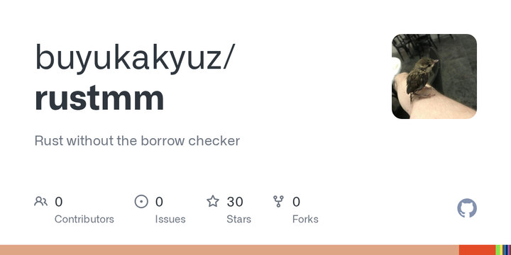 Rust–: Rust without the borrow checker