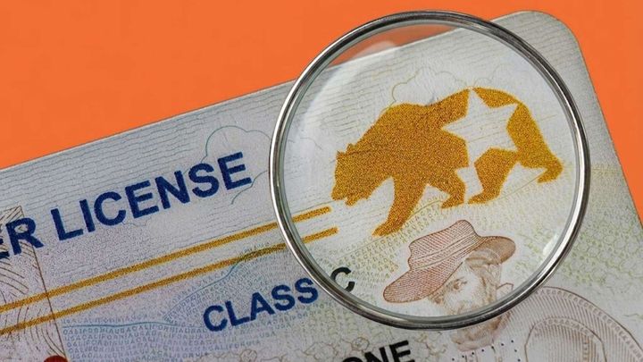 DHS Says DHS-Certified Real IDs Too Unreliable to Confirm U.S. Citizenship