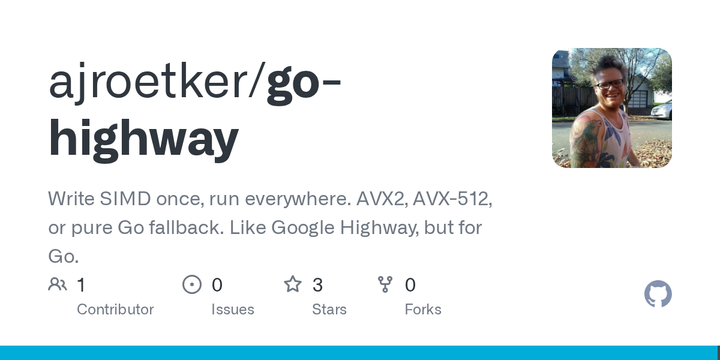 Show HN: Go-Highway – Portable SIMD for Go