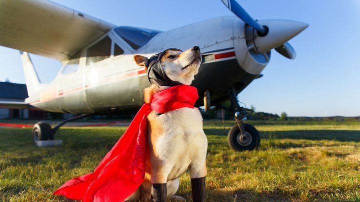 Recipe for a great startup dev team