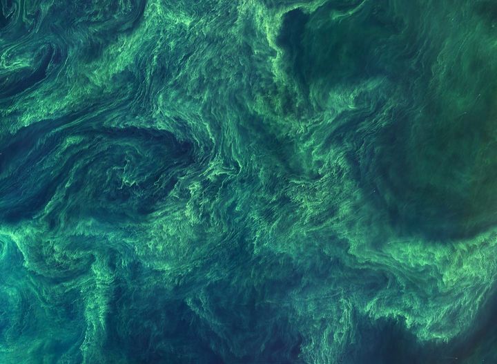 Our Changing Planet, as Seen from Space