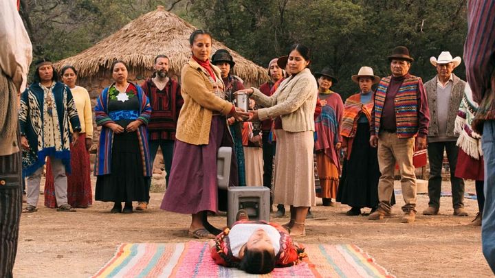 Embrace your lack: on Pluribus and LLMs