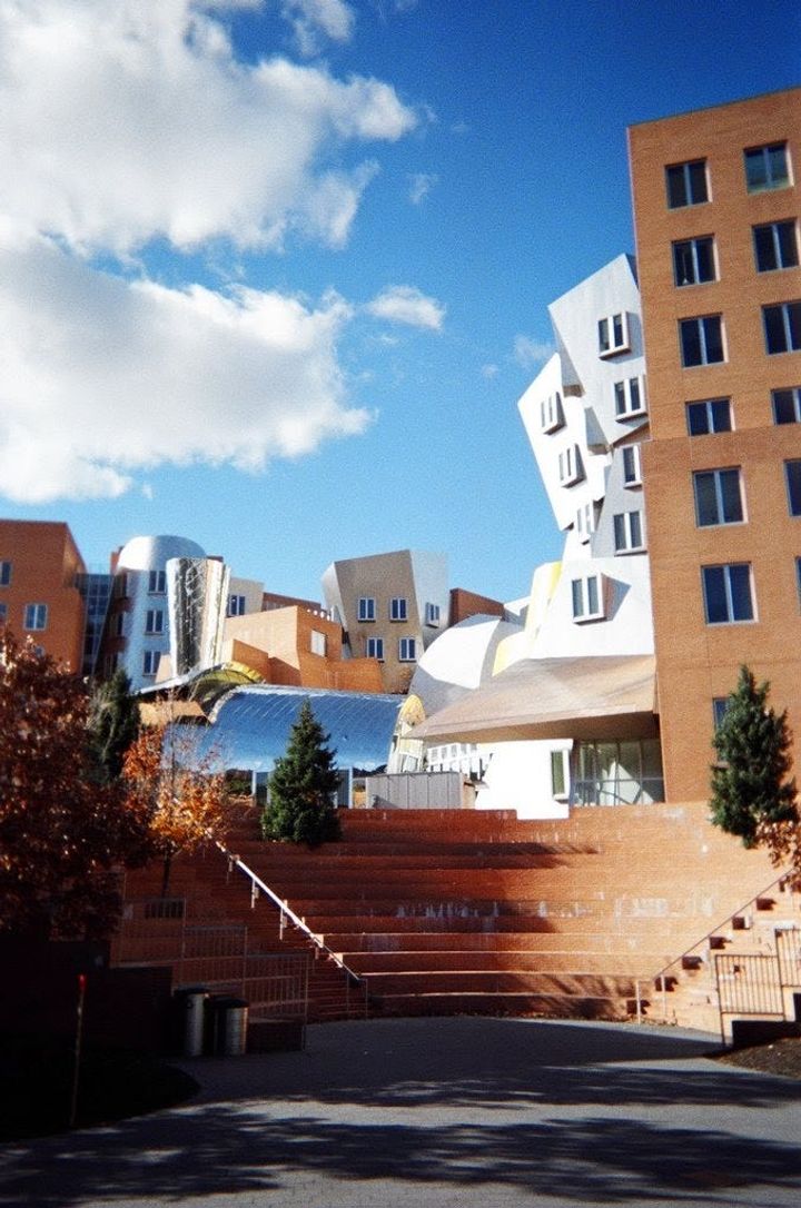 In Memory of Frank Gehry