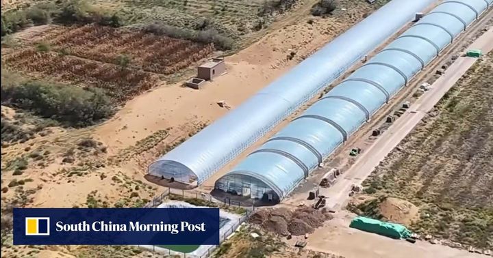 Great Green Wall 2.0: China is geoengineering deserts with blue-green algae