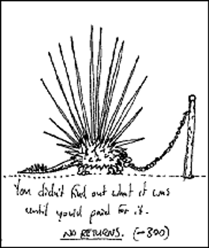 1000 Blank White Cards