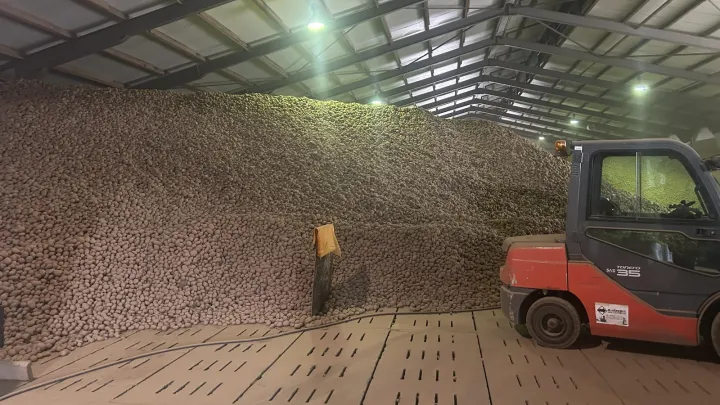 4k tons of potatoes to be given away for free in Berlin