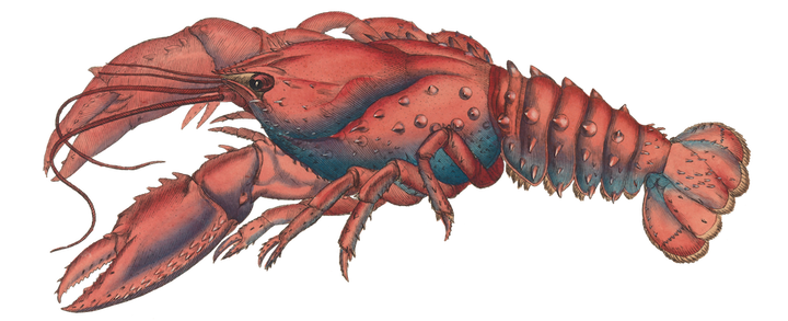 How the Lobsters front page works