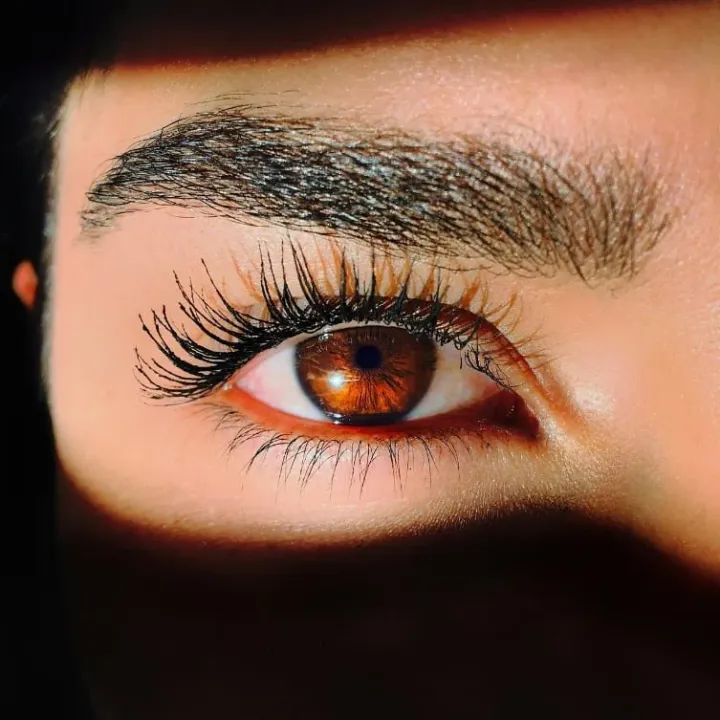 The secret consultant: Your first steps to independence