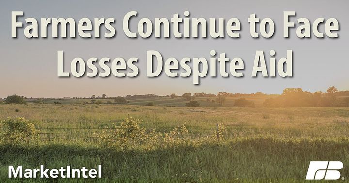 Significant US Farm Losses Persist, Despite Federal Assistance