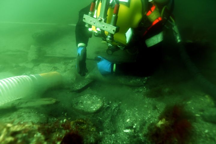 Viking Ship Museum in Denmark announces the discovery of the largest cog