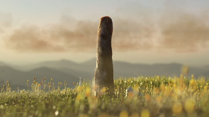 Mystery Prototaxites tower fossils may represent a newly discovered form of life