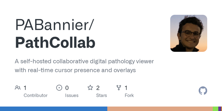 Show HN: A self-hosted collaborative viewer for pathology slides (Rust, WebGL2)