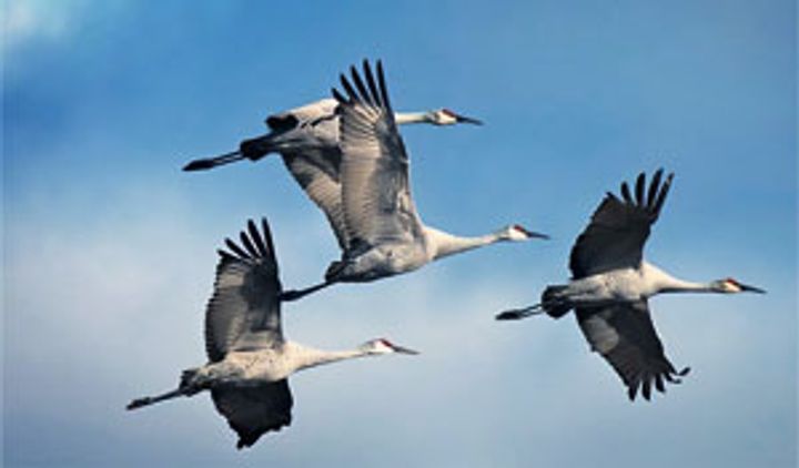 How to Preserve Your Writing for a Hundred Years