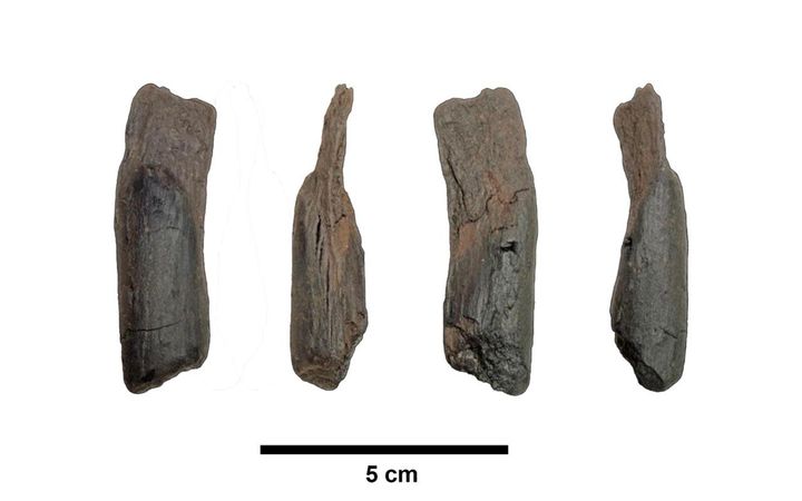 430k-year-old well-preserved wooden tools are the oldest ever found
