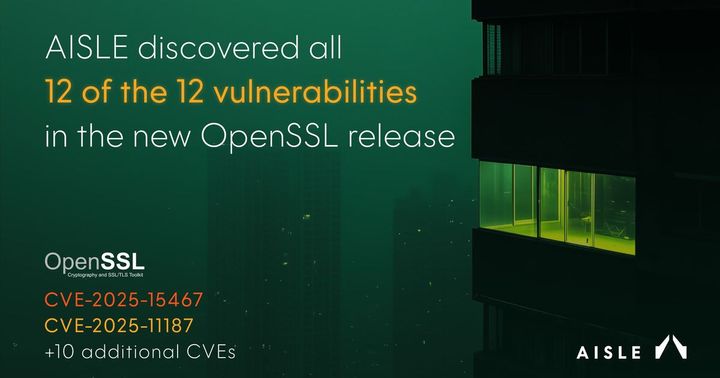 AI found 12 vulnerabilities in OpenSSL