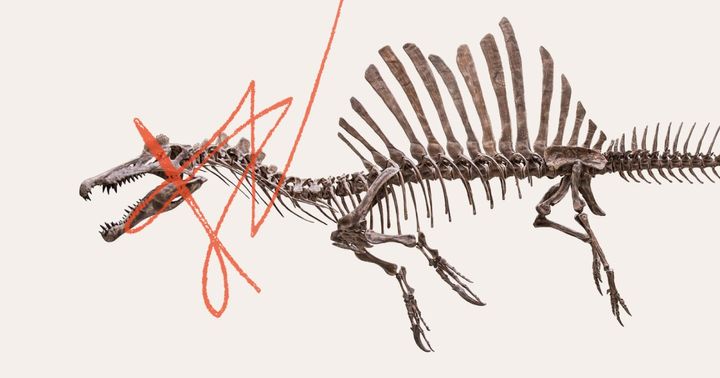 Dinosaur that vanished twice: How WWII nearly erased Spinosaurus from history