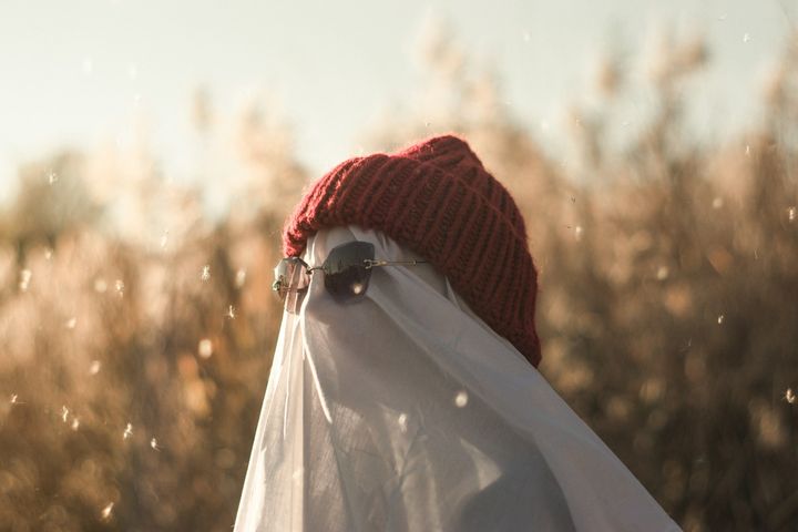 Why Ghost reignited my love for web development