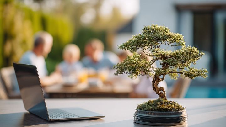 Software as Bonsai