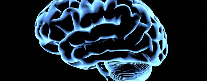 Key to human intelligence lies in how brain networks work together