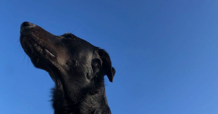 The Math of the AI Bubble (A 2027 Forecast)