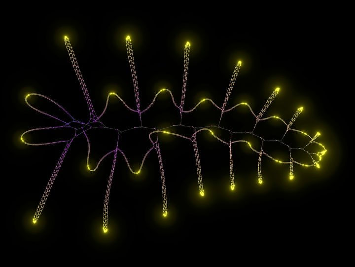 Like Game-of-Life, but on Growing Graphs, with WASM and WebGL