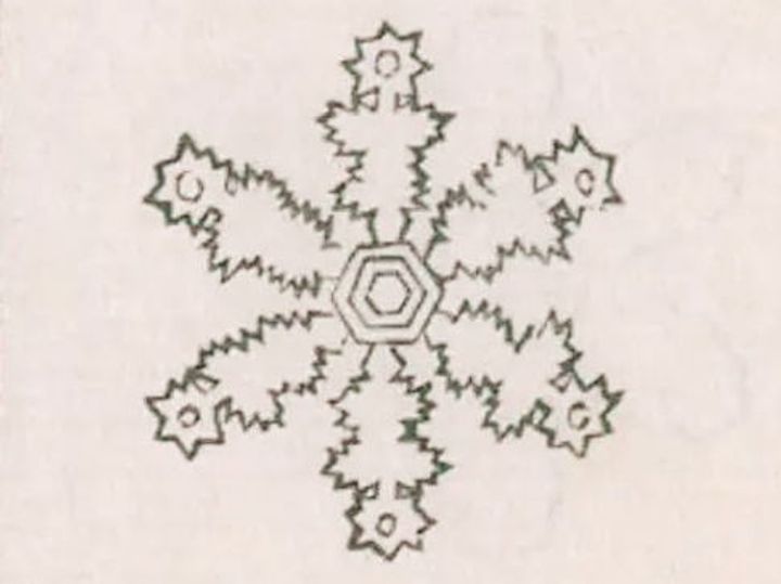 Sekka Zusetsu: A Book of Snowflakes (1832)