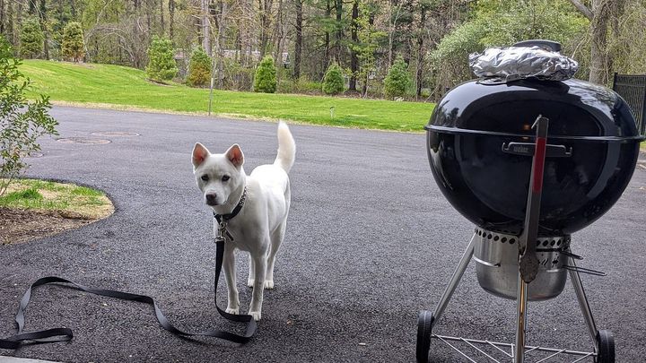 "What Questions Do You Have for Me?": Acing the Reverse Interview