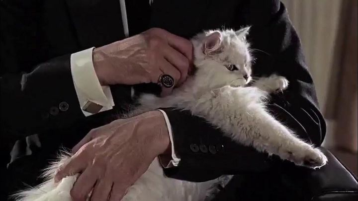 The Banality of MAGA Evil