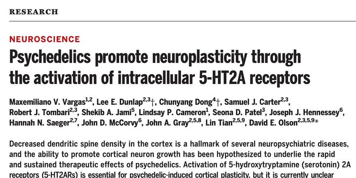 Psychedelics, neuroplasticity, and intracellular 5HT2A receptors