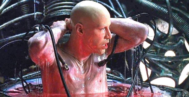 We Remain Alive Also in a Dead Internet