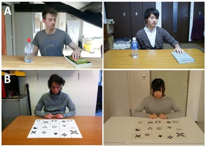 Japanese Are Less Human-Centred Than French: Perspective-Taking in Easterners