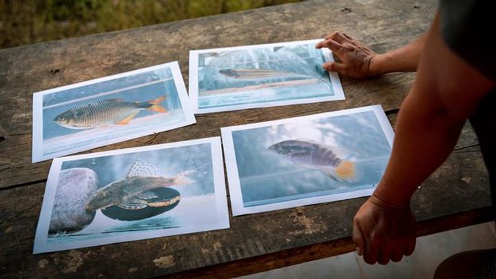 A remote and dangerous Amazon river spills its secrets