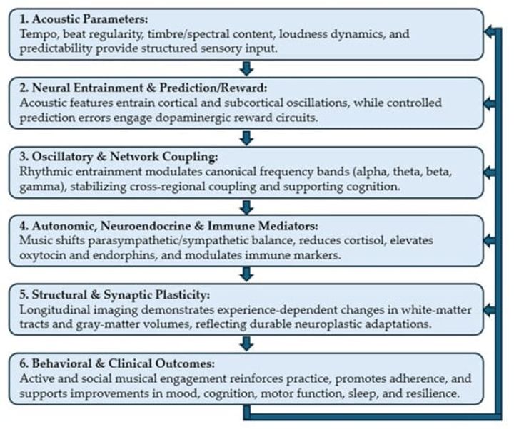 The Influence of Music on Mental Health Through Neuroplasticity